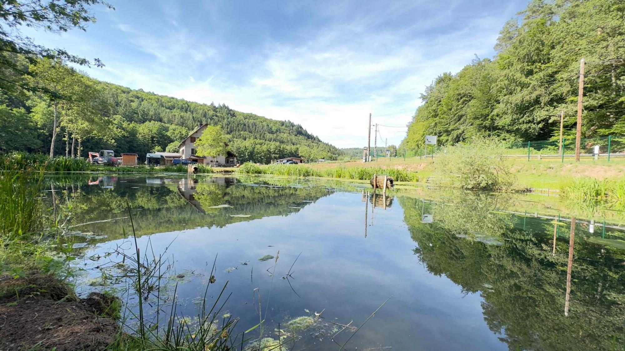 Maison D'Hotes En Pleine Nature Avec Chevaux Soucht Esterno foto