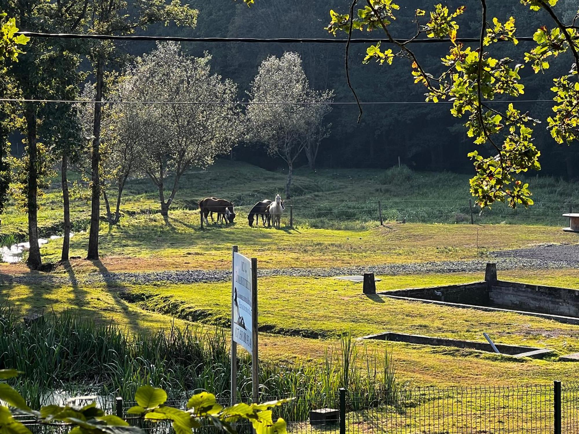 Maison D'Hotes En Pleine Nature Avec Chevaux Soucht Esterno foto
